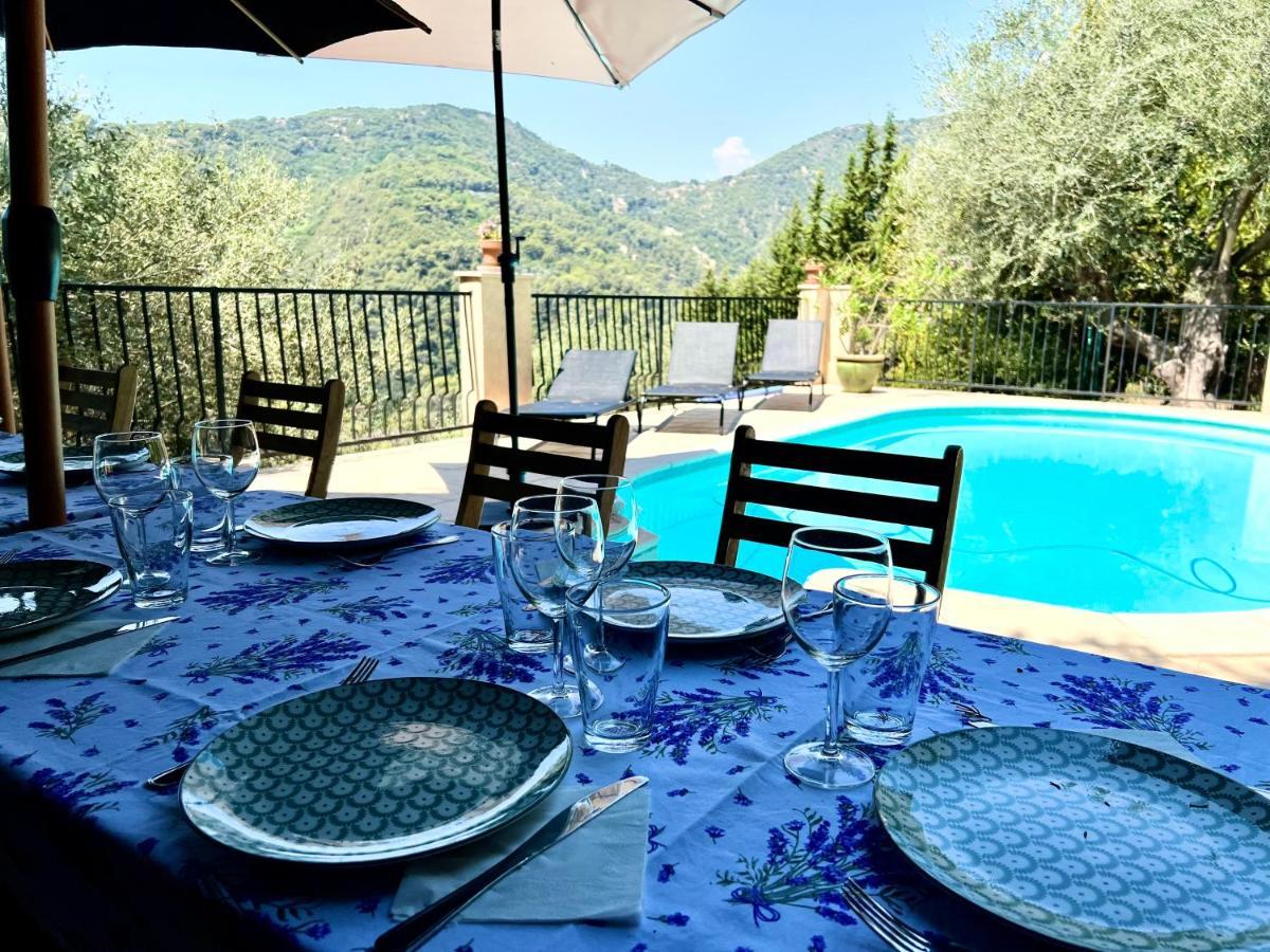 Entre Nice Et Monaco Grande Villa Avec Piscine Privee 12 Personnes Drap Bagian luar foto