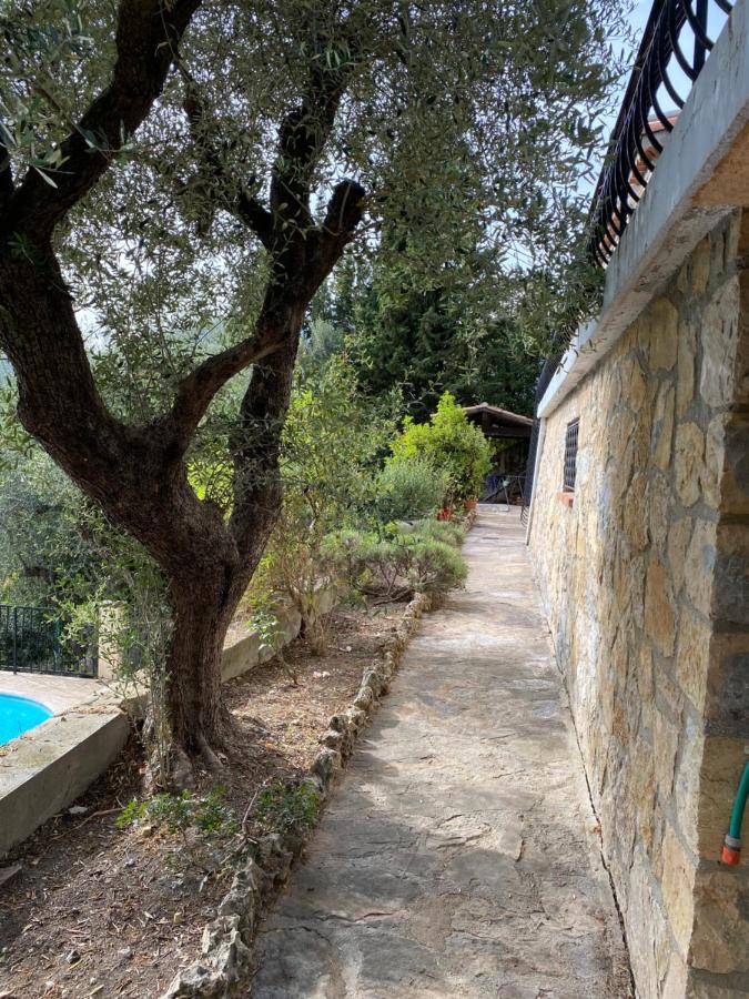 Entre Nice Et Monaco Grande Villa Avec Piscine Privee 12 Personnes Drap Bagian luar foto