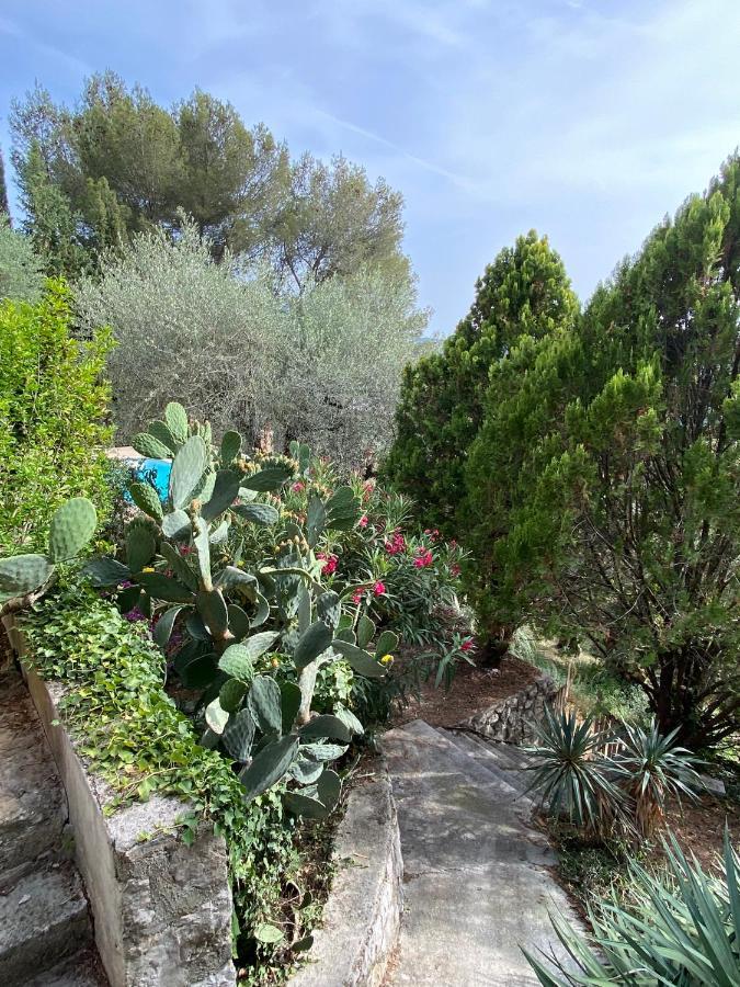 Entre Nice Et Monaco Grande Villa Avec Piscine Privee 12 Personnes Drap Bagian luar foto