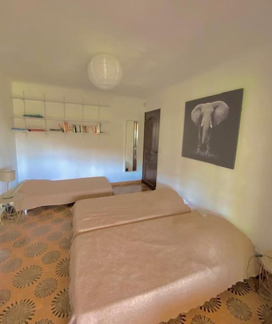 Entre Nice Et Monaco Grande Villa Avec Piscine Privee 12 Personnes Drap Bagian luar foto