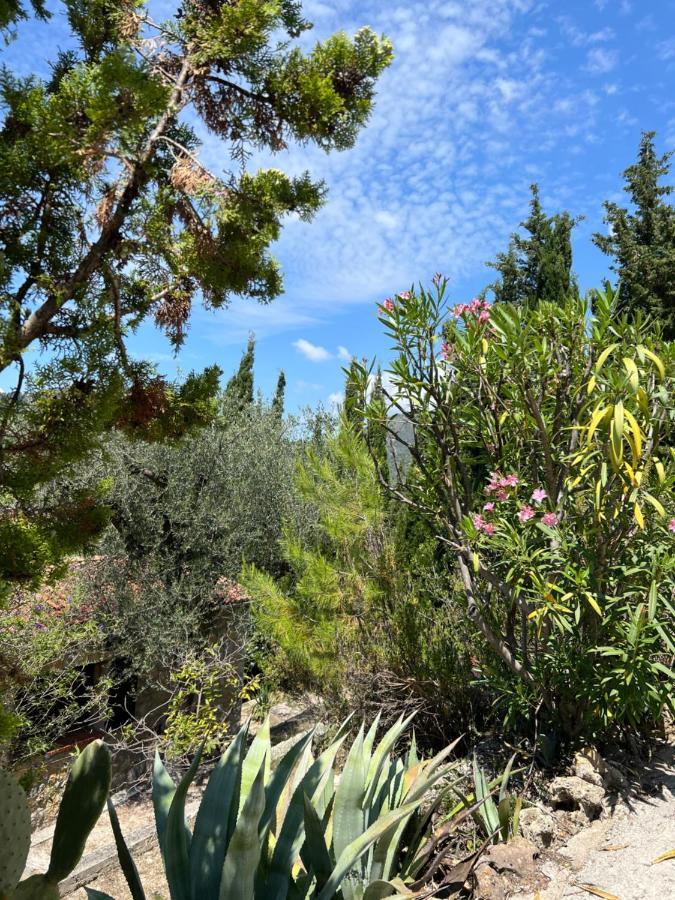 Entre Nice Et Monaco Grande Villa Avec Piscine Privee 12 Personnes Drap Bagian luar foto
