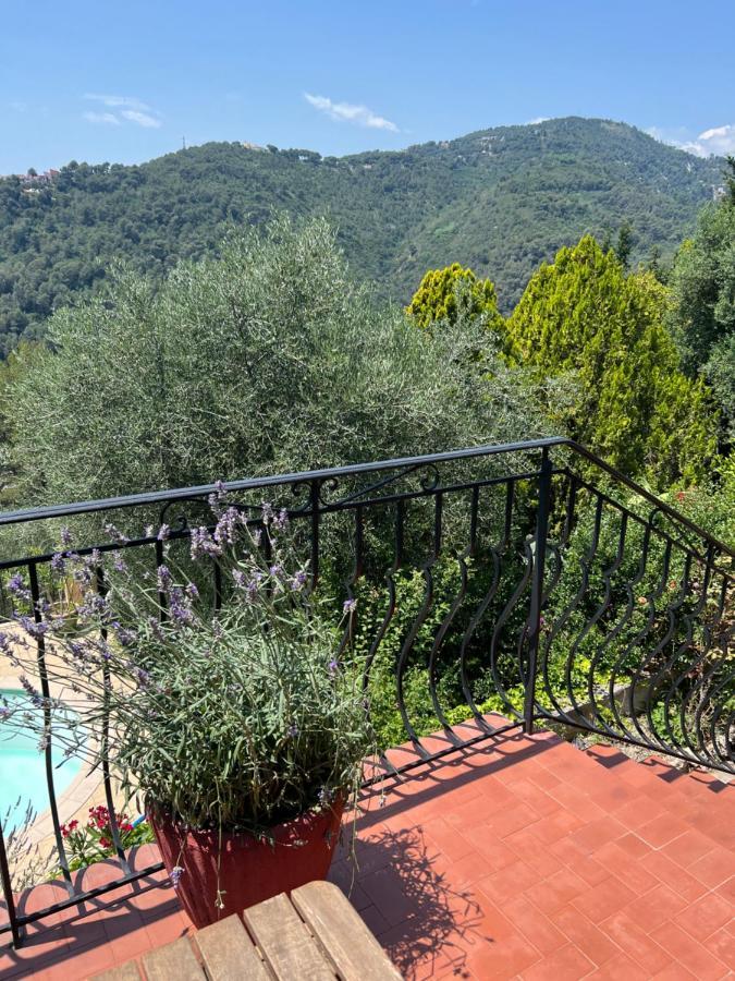 Entre Nice Et Monaco Grande Villa Avec Piscine Privee 12 Personnes Drap Bagian luar foto