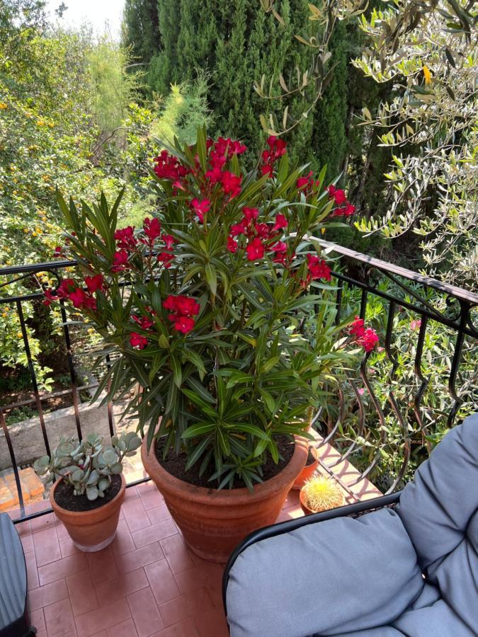 Entre Nice Et Monaco Grande Villa Avec Piscine Privee 12 Personnes Drap Bagian luar foto